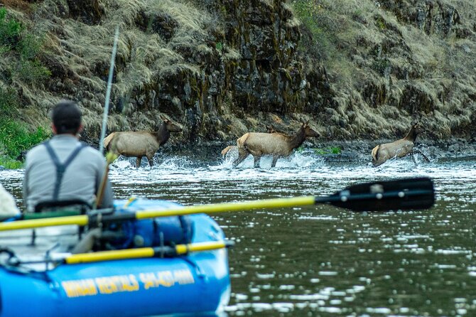 Half Day Guided Rafting Excursion in Wallowa River - Physical Fitness and Accessibility for Participants