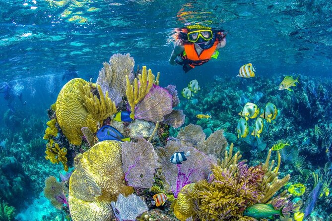 Half Day Guided Snorkeling Adventure in Puerto Morelos - Explore the Underwater Beauty of Puerto Morelos for $129