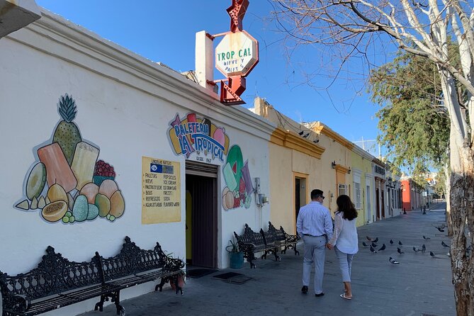 Half-Day Guided Tour at Los Cabos: San José & Cabo San Lucas - Tasting Experiences and Shopping Opportunities