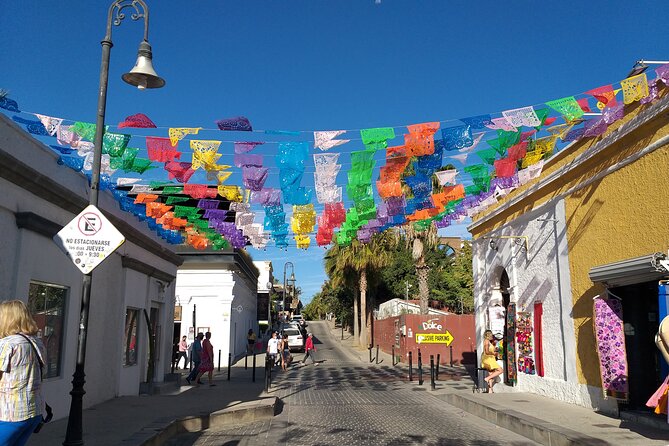 Half-Day Guided Tour at Los Cabos: San José & Cabo San Lucas - Flexibility and Weather Considerations