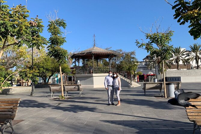 Half-Day Guided Tour in San José del Cabo Art and Beer Tasting - Art District Walk: Galleries and Local Artists