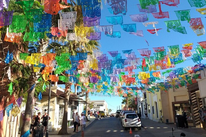 Half-Day Guided Tour in San José del Cabo Art and Beer Tasting - Convenience and Group Size