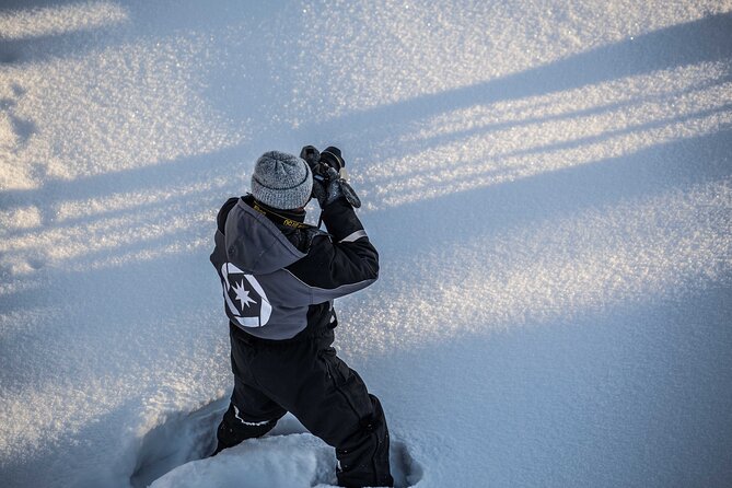 Half Day Guided Tour in the Wilderness of Levi - Physical Requirements and Accessibility