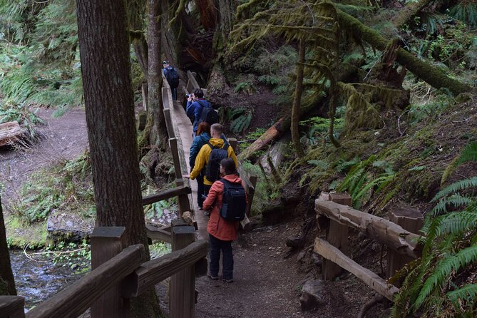 Half Day Guided Tour of Olympic National Park - Practical Considerations and Tips
