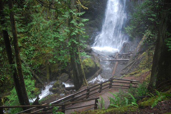 Half Day Guided Tour of Olympic National Park - What Sets This Tour Apart from Others