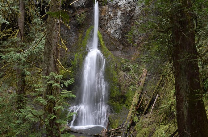 Half Day Guided Tour of Olympic National Park - Who Would Most Enjoy This Tour?
