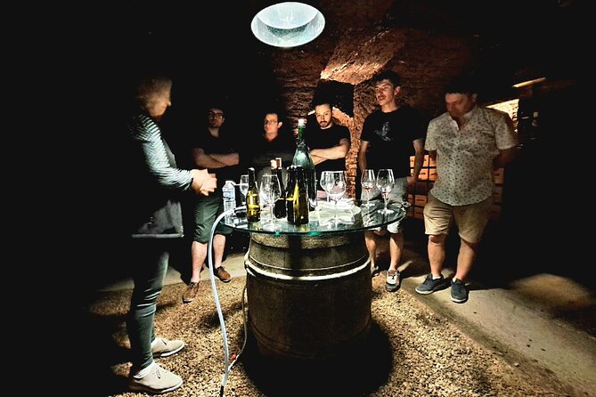 Half-day guided tour on the Burgundy wine Route in a classic car - Visiting the Villages of Pommard, Volnay, Meursault, and Puligny-Montrachet