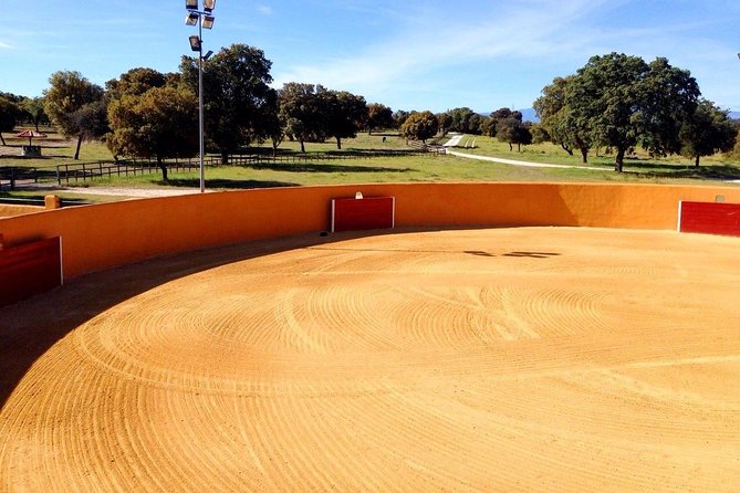 Half-Day Guided Tour to a bull farm in Madrid - Explore Madrid’s Authentic Bull Ranch in a Short Guided Tour