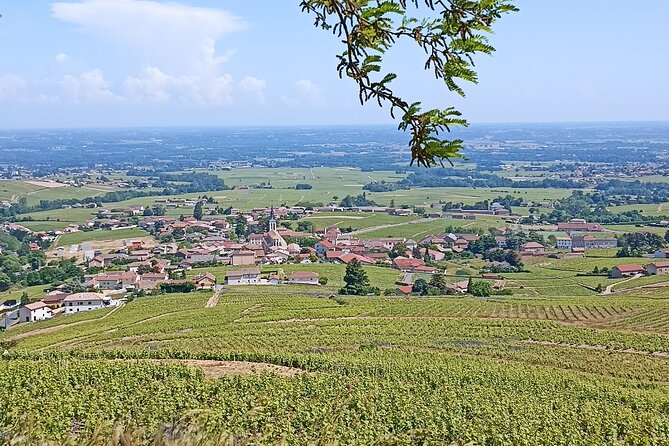 Half-Day Guided Tour with Tasting of Beaujolais Wines - Discover the Charm of Beaujolais Villages and Vineyards