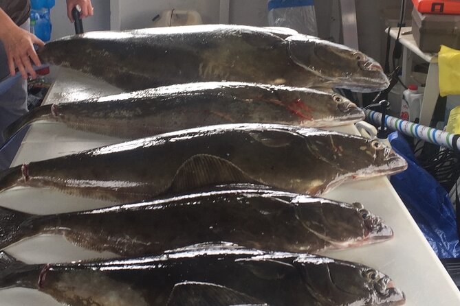 Half Day Halibut Fishing - Booking Details and Practical Tips