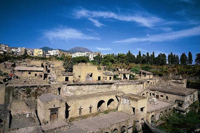 Half Day Herculaneum from Sorrento - Key Points
