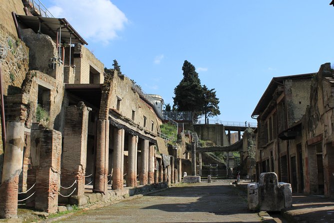 Half Day Herculaneum from Sorrento - Value and Practical Tips for the Tour