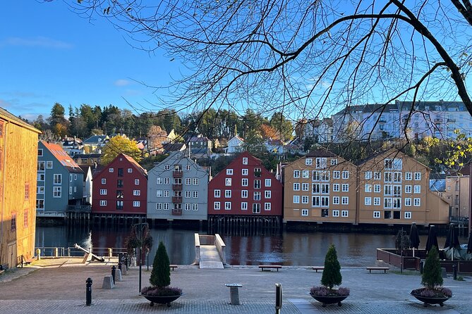 Half-Day Highlights of Trondheim by Bus and City Walk - The Guide and Transportation Quality