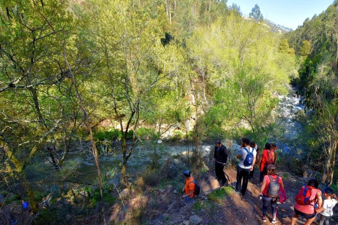 Half-day Hike & Picnic with Dog Love in Porto's Mountains - The Authentic Picnic Lunch with Regional Flavors