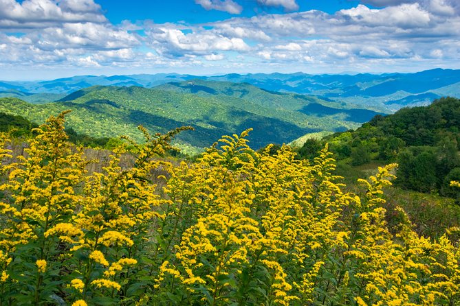 Half-Day Hike with Long Range Views from Asheville - Key Points