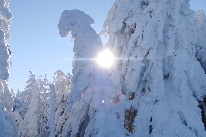 Half-Day Hiking with Private Mountain Guide in the Seven Rila Lakes - The Town of Panichishte and Thermal Waters in Sapareva Banya