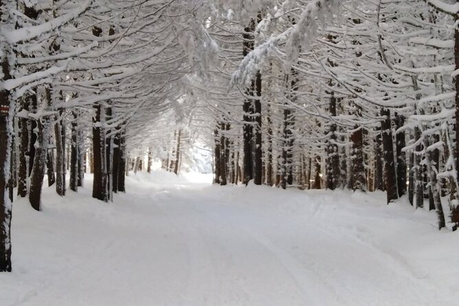Half-Day Hiking with Private Mountain Guide in the Seven Rila Lakes - Personal Safety and Group Size