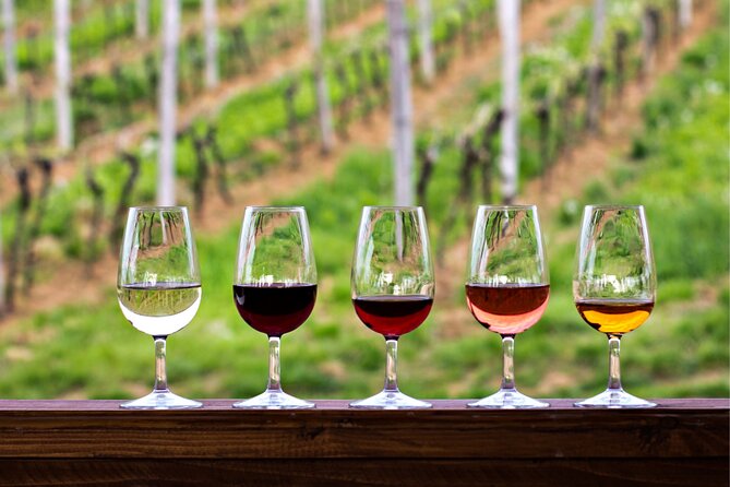 Half-Day Hill Country Wine Shuttle From Austin - Explore Texas Hill Country with a Half-Day Wine Shuttle from Austin