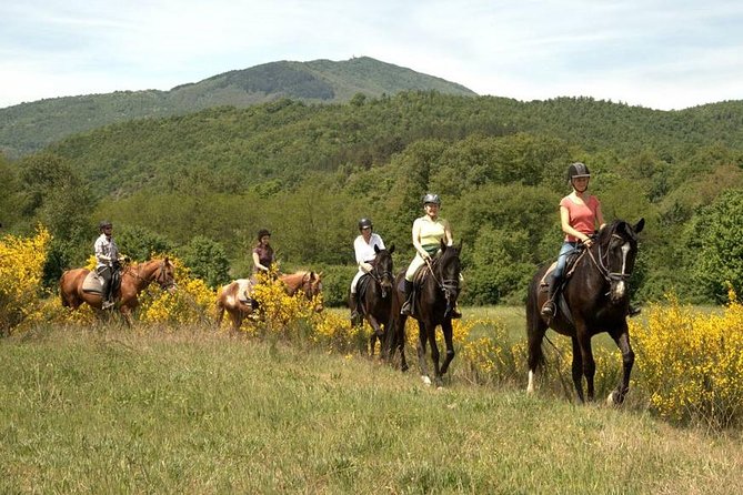 Half-Day Horseback Ride in Tuscany - The Experience in Context: Comparing Similar Tours