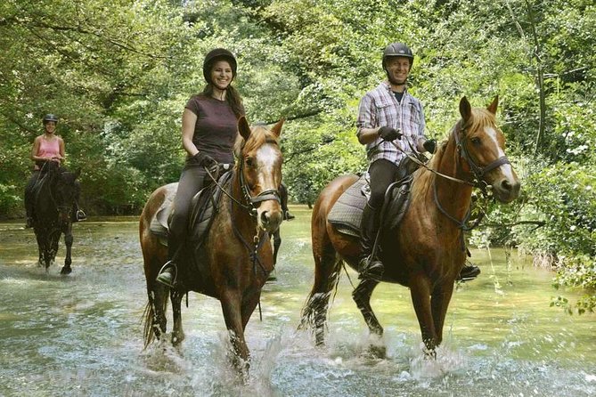 Half-Day Horseback Ride in Tuscany - Limitations and Considerations