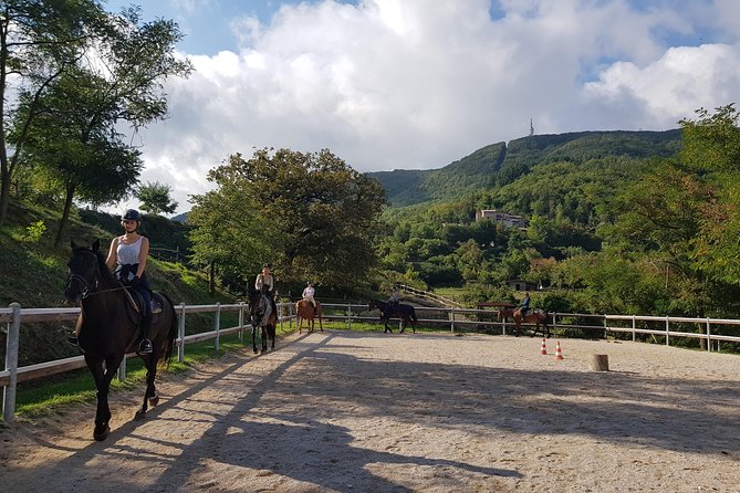 Half-Day Horseback Ride in Tuscany for beginner riders - Key Points