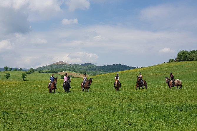 Half-Day Horseback Ride in Tuscany for beginner riders - Meeting Point at Prategiano Stables in Montieri