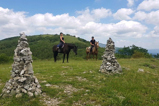 Half-Day Horseback Ride in Tuscany for beginner riders - The Experience for First-Time Riders and the Natural Pathways