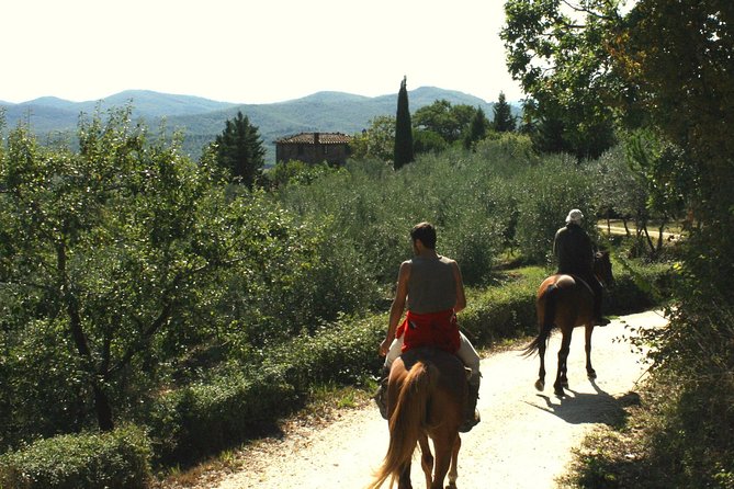 Half-Day Horseback Ride in Tuscany for beginner riders - Timing Options and How to Plan Your Day
