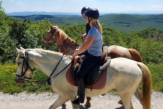 Half-Day Horseback Ride in Tuscany for beginner riders - The Small Group Atmosphere and Personalized Attention