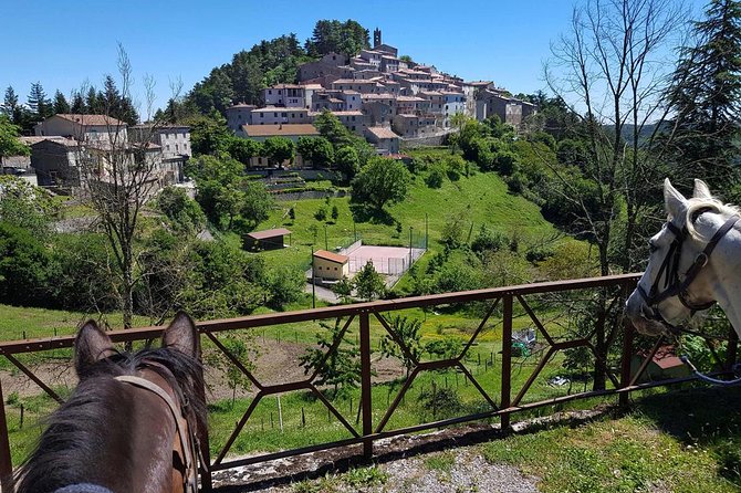 Half-Day Horseback Ride in Tuscany for beginner riders - The Reviews and What Makes This Tour Stand Out