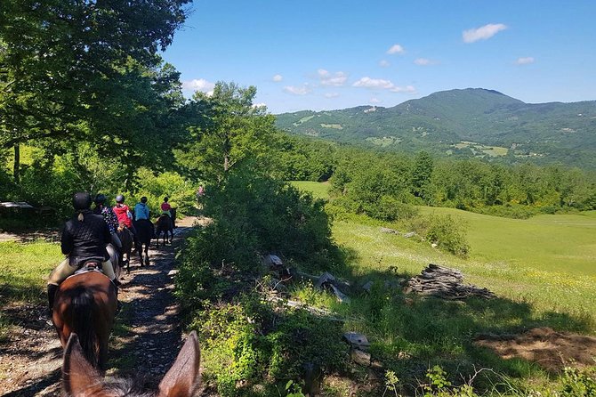 Half-Day Horseback Ride in Tuscany for beginner riders - What Sets This Tour Apart from Other Outdoor Activities in Tuscany