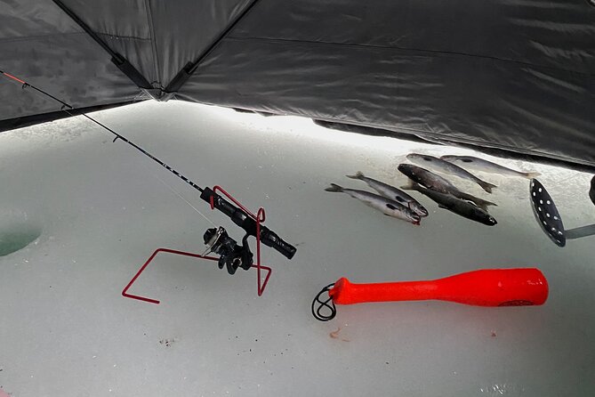 Half Day Ice Fishing Adventure in Wasilla - Key Points