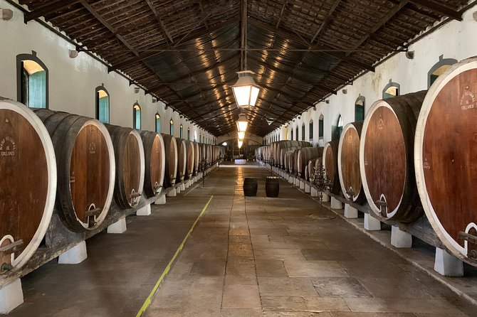 Half Day in Sintra and Cabo da Roca with Wine Tasting - Practical Details and Accessibility