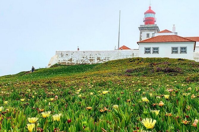 Half Day in Sintra and Cabo da Roca with Wine Tasting - Limitations and Considerations