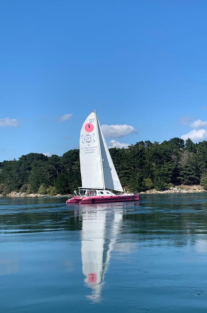 Half day in the Bay of Concarneau - Flexibility and Booking Policies