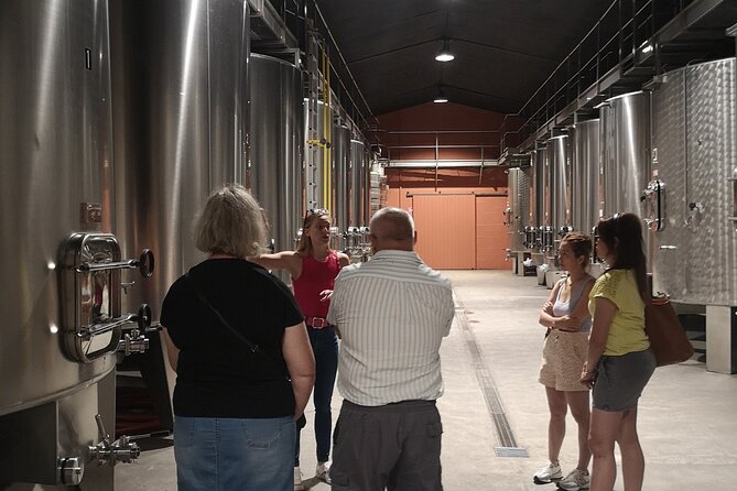 Half-day in the Médoc : 2 wineries & 6 wines - Key Points