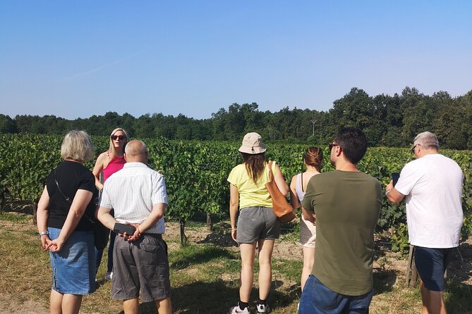 Half-day in the Médoc : 2 wineries & 6 wines - Visiting a Cru Bourgeois Estate in Ludon-Médoc