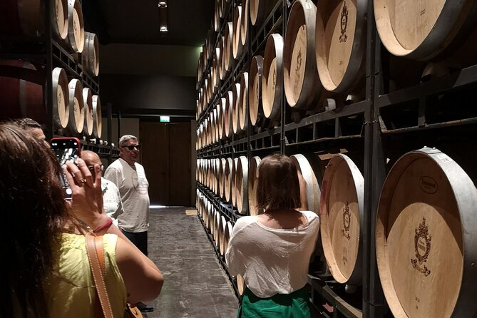 Half-day in the Médoc : 2 wineries & 6 wines - Accessibility and Practical Tips