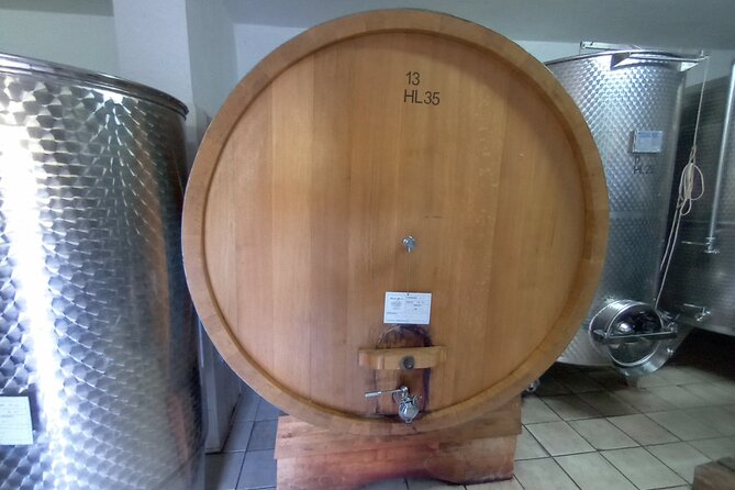 Half-Day Irpinia Wine Tour from SALERNO - The Tour Begins at Salerno’s Central Meeting Point