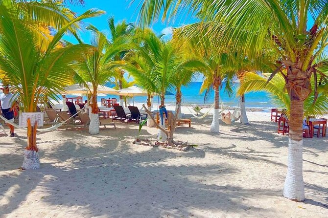 Half-Day Island Tour with Mayan Experience & Beach Break - Food, Drink, and Tasting Experiences Included