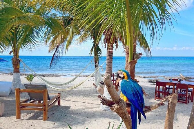 Half-Day Island Tour with Mayan Experience & Beach Break - Limitations and Considerations for Participants