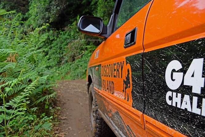 Half Day Jeep Safari Tour at Pico Areeiro and Santo da Serra - Off-Road Adventure to Portela Viewpoint