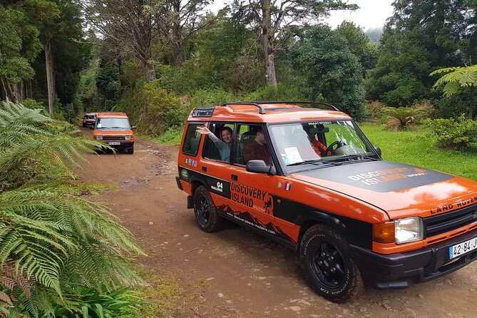Half Day Jeep Safari Tour at Pico Areeiro and Santo da Serra - Practical Details and Group Size