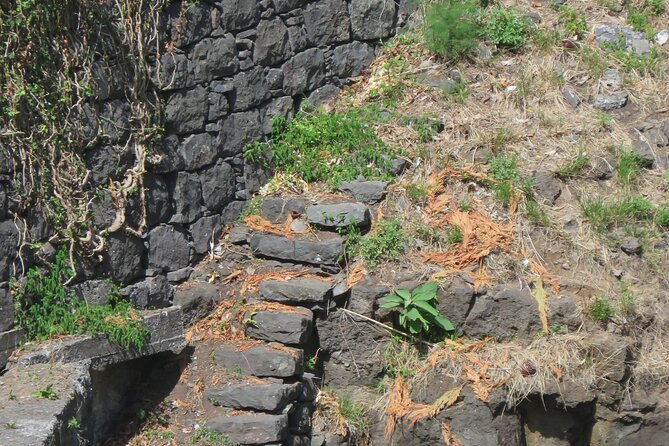 Half day jeep Wine tour and tasting, & sea cliff adventure - The Charm of São Vicente and Its Cultural Legacy