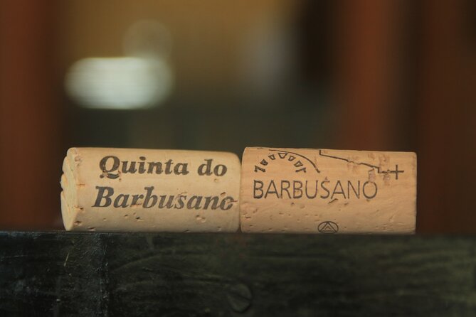 Half day jeep Wine tour and tasting, & sea cliff adventure - Quinta do Barbusano: Wine and Vineyard Views