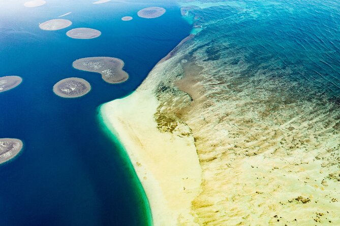 Half-Day Kaneohe Bay Sandbar Self-Guided Kayaking Experience - What Past Participants Say About This Experience