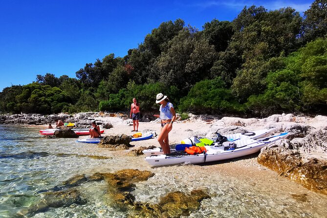 Half-Day Kayak Tour in Vrsar Archipelago - Why Choose This Vrsar Archipelago Kayaking Tour?
