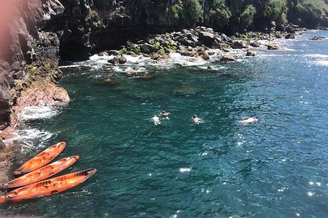 Half day kayak tours - Starting Point at Funchal Harbor for a Smooth Beginning