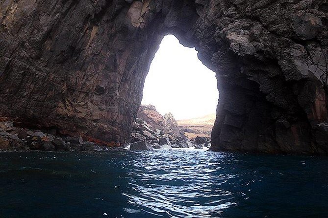 Half day kayak tours - Cliff Diving: An Adventure for the Brave