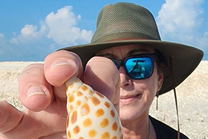 Half Day Keewaydin Shelling and Beach Adventure (Private) - Wildlife Encounters: Dolphins, Birds, and More